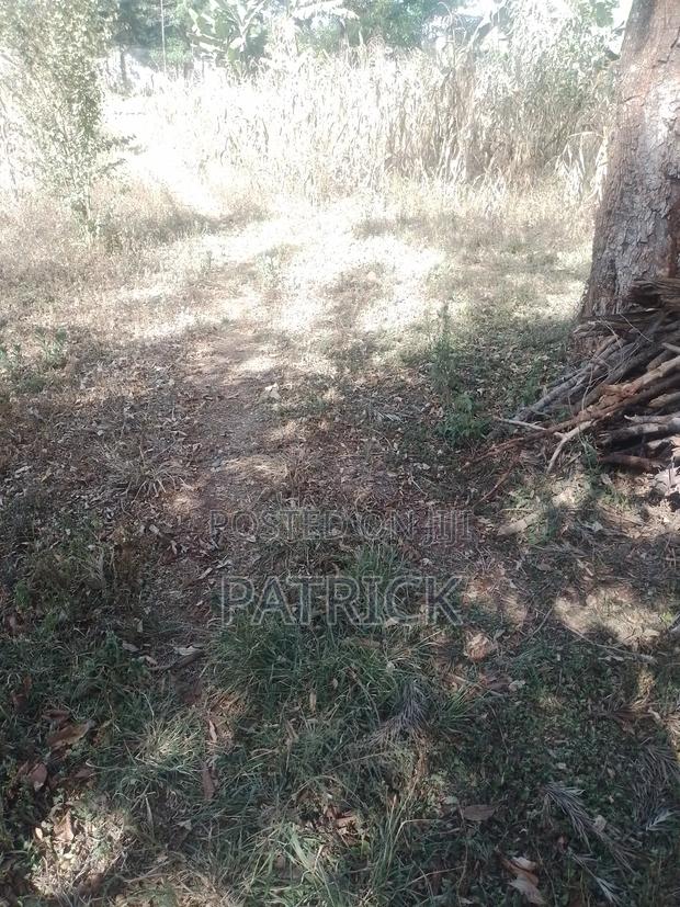 Land for Lease - main view