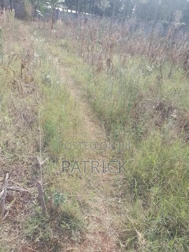 Land for Lease - thumbnail 4