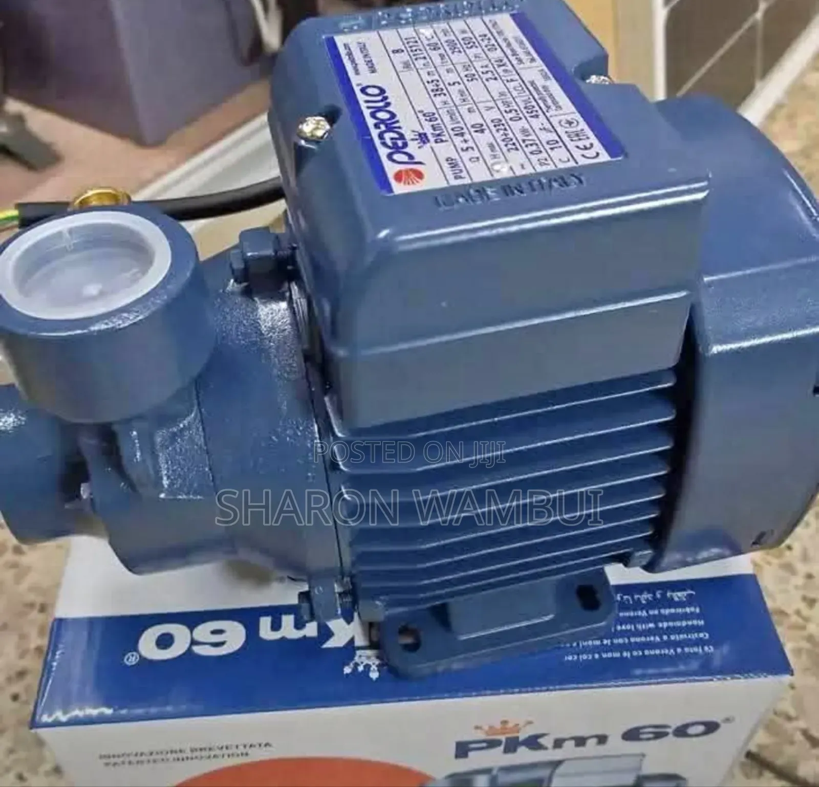 0.5hp Pedrollo Surface Water Pump