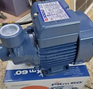 0.5hp Pedrollo Surface Water Pump
