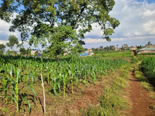 Githunguri Plots Approx 400m to Town