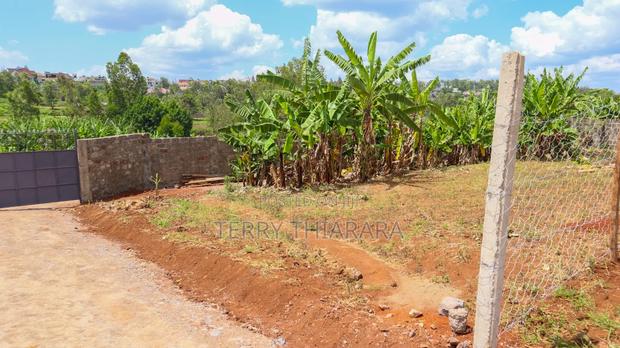Ruiru -Mugutha Plots - thumbnail 6