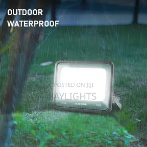 Waterproof Outdoor Floodlight Daylight White
