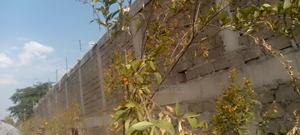 Kabati Tripple a 1/2 Acre With Clean Title Deeds - main view