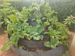 Storey Kitchen Garden