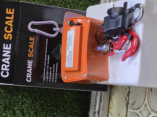 500kg Hanging Crane Scale - main view