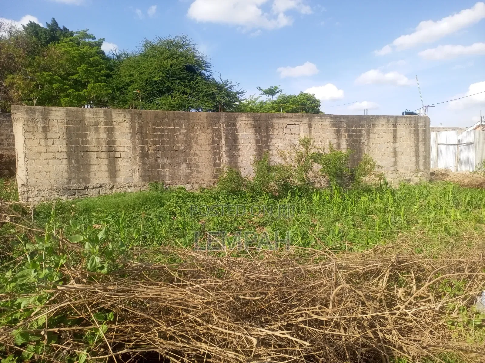 40*75 Plot on Sale