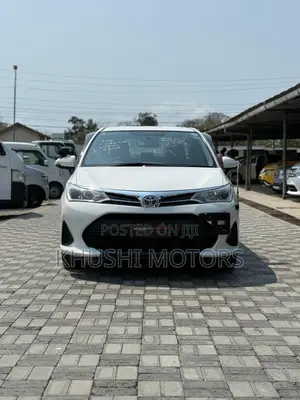 Toyota Axio 2018 Pearl