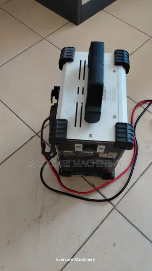 High Quality Private Car Battery Charger Machine 12/24v .