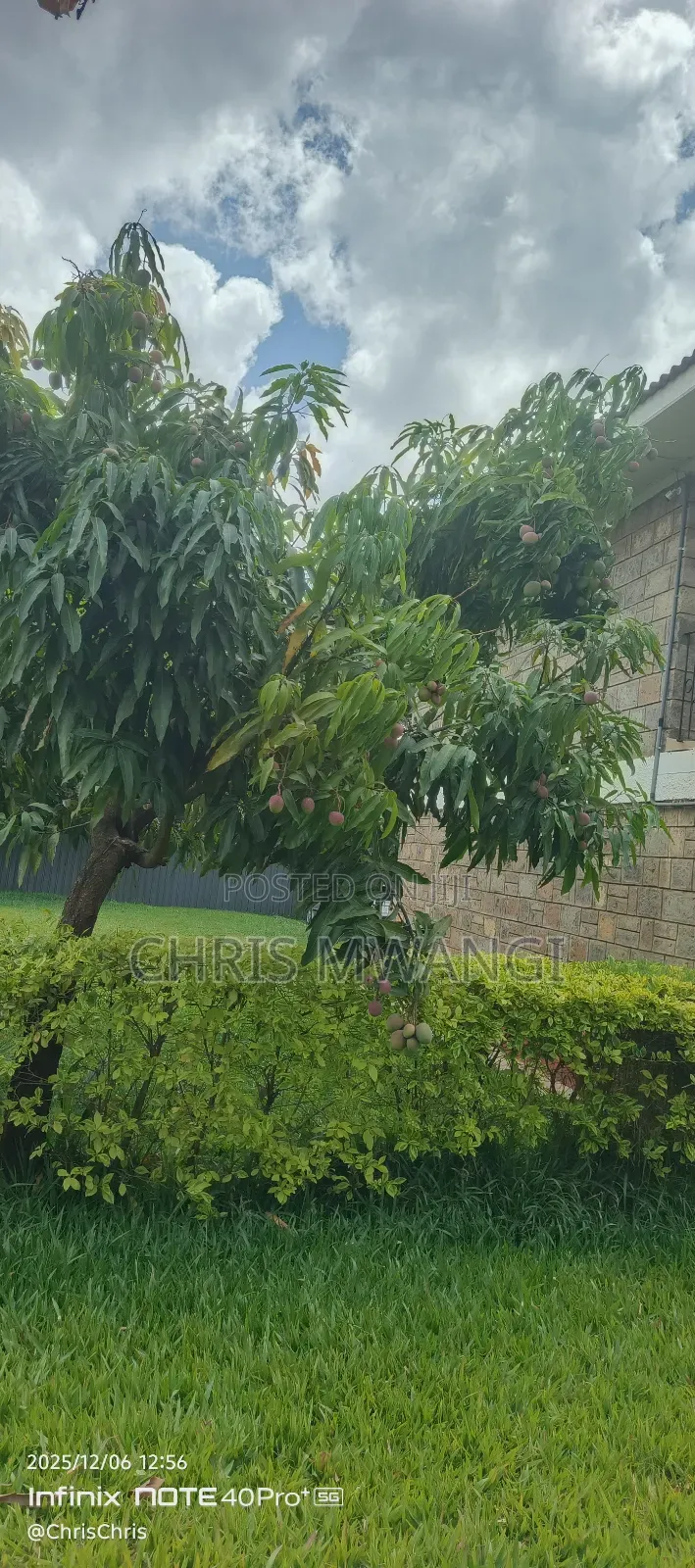 5bdrm Mansion in Garden Estate, Mombasa Road for sale