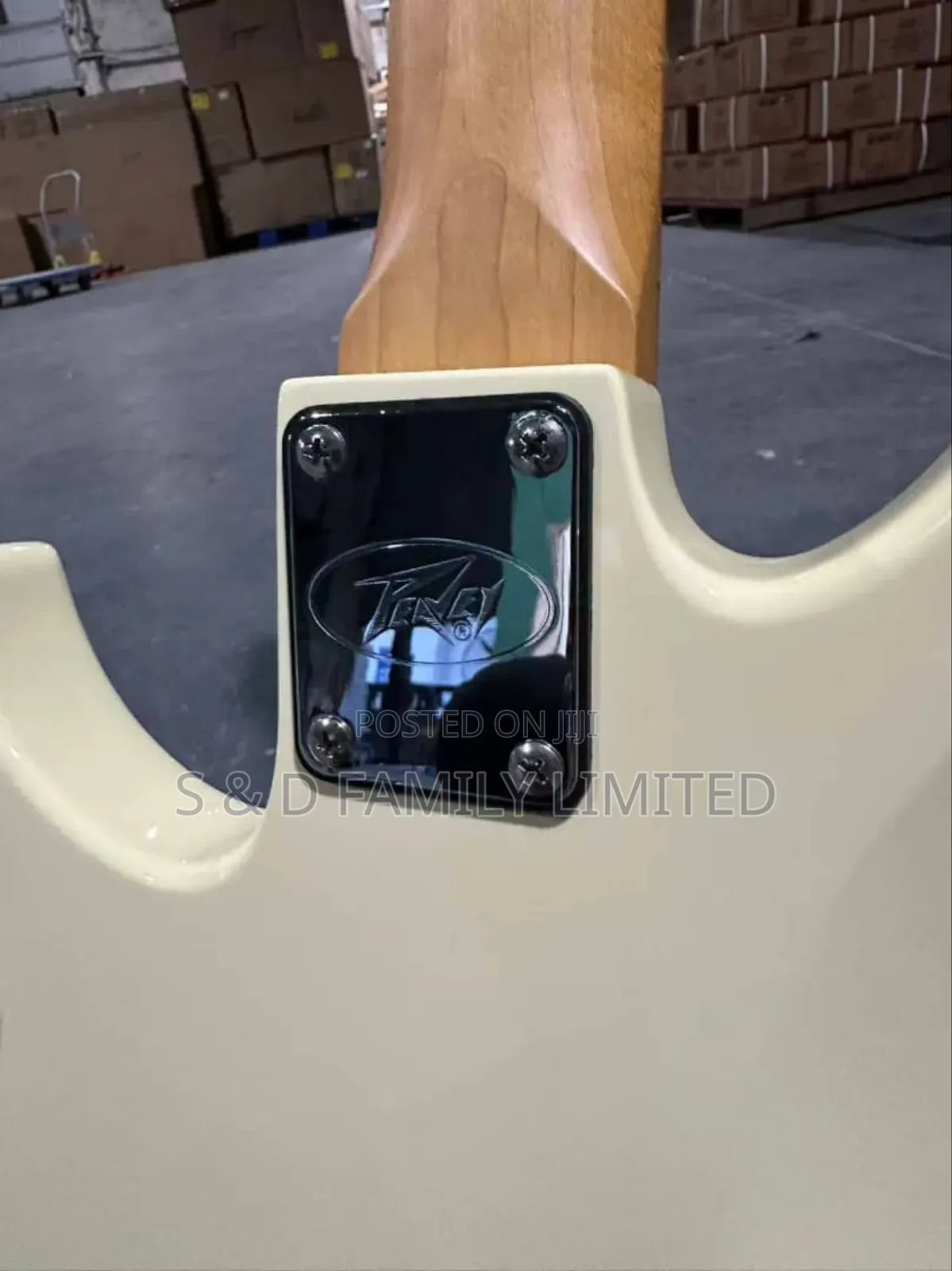 Peavey Bass Guitar 4 String Passive