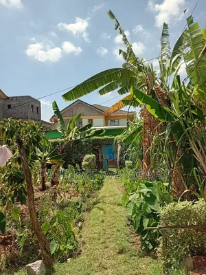 Plot for Sale in Kiamumbi,Kiambu County