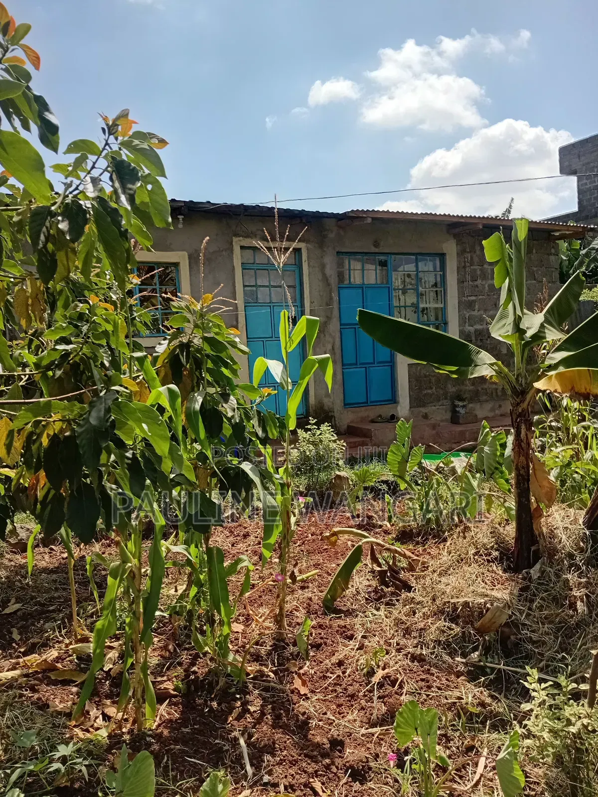 Plot for Sale in Kiamumbi,Kiambu County