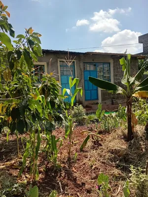 Plot for Sale in Kiamumbi,Kiambu County
