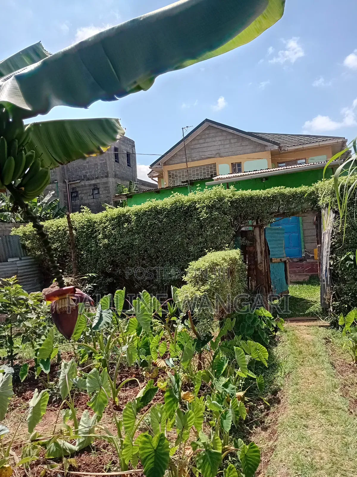 Plot for Sale in Kiamumbi,Kiambu County