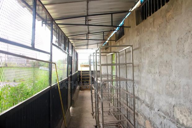 Warehouse to Let - thumbnail 4
