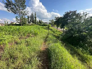 /1/2 an Acre Land for Sale at Kabati, Along the Highway