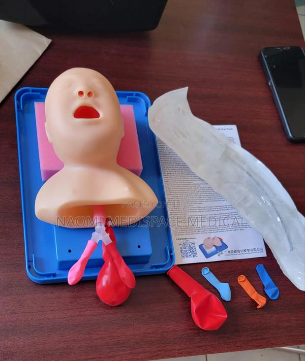 Baby Intubation Model/Neonatal Airway Model