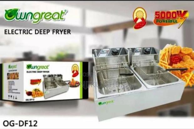 First And Reliable Big 12l Double Deep Fryer/Double Deep Fryer