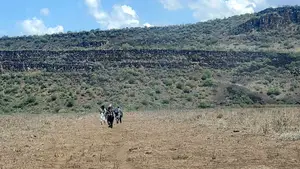 Tinga / Oletepesi Acres Pay With Installment Upto 12 Months