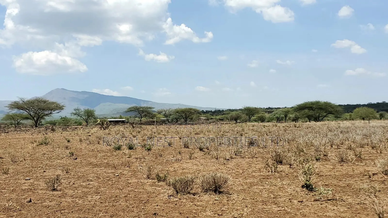 Tinga / Oletepesi Acres Pay With Installment Upto 12 Months