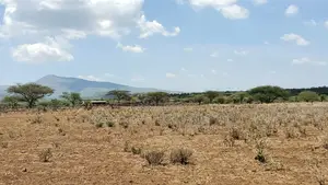 Tinga / Oletepesi Acres Pay With Installment Upto 12 Months