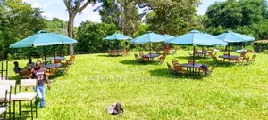 Events/,Hotels/Domestic Garden Outdoor Umbrella Shades