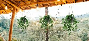 Artificial Hanging Flowers/Plant - main view