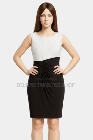 Ladies Pencil Dress