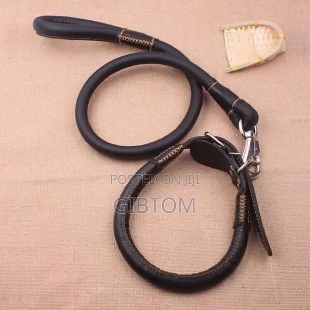 Pet/ Do Leash. - main view