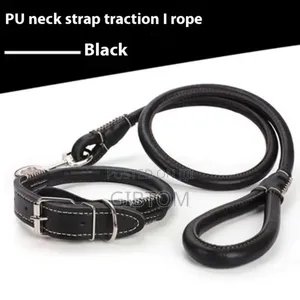 Pet/ Do Leash.