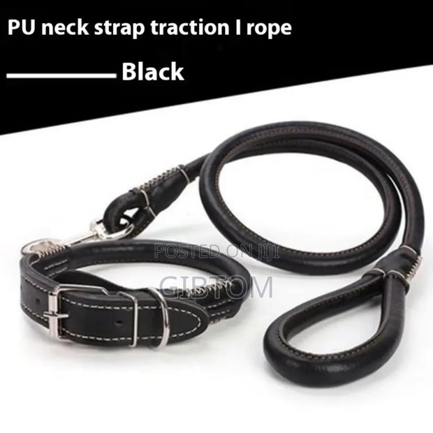 Pet/ Do Leash. - thumbnail 3