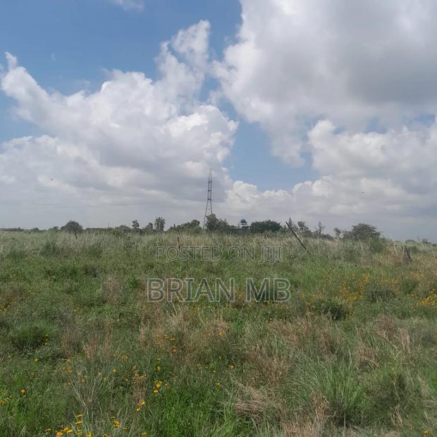 Lands on Sale - thumbnail 7