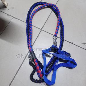Dog Leash, - main view