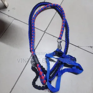 Dog Leash,