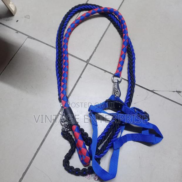 Dog Leash,