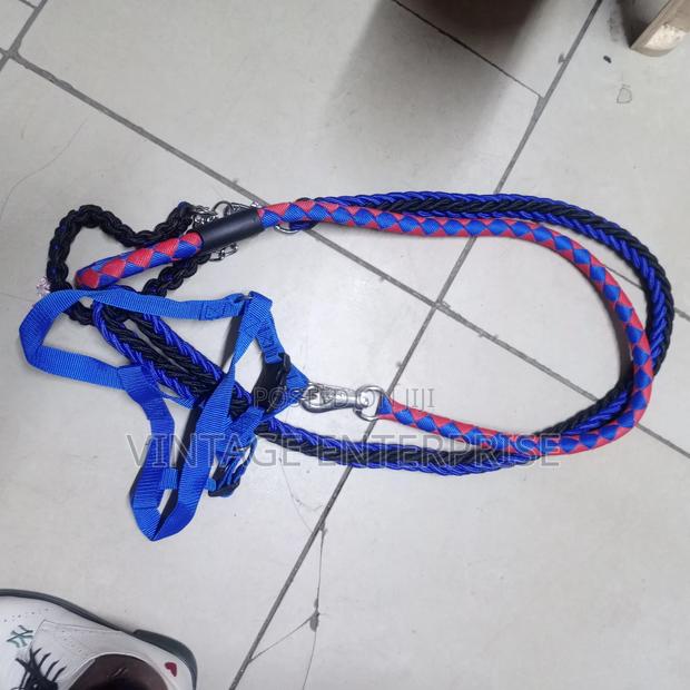 Dog Leash, - thumbnail 2
