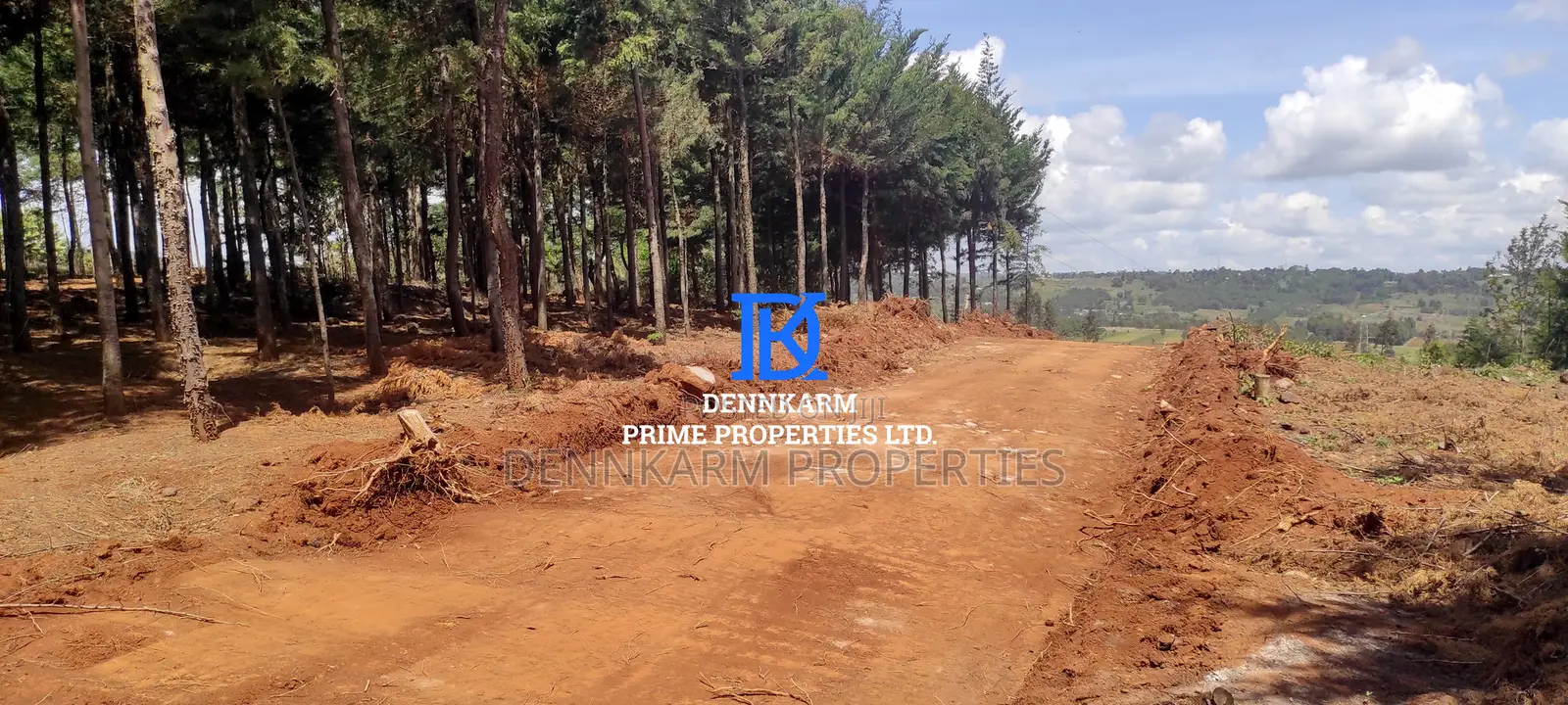 Prime Plots for Sale – Forest Groove Kikuyu, Thigio