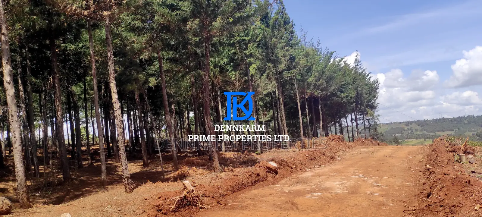 Prime Plots for Sale – Forest Groove Kikuyu, Thigio