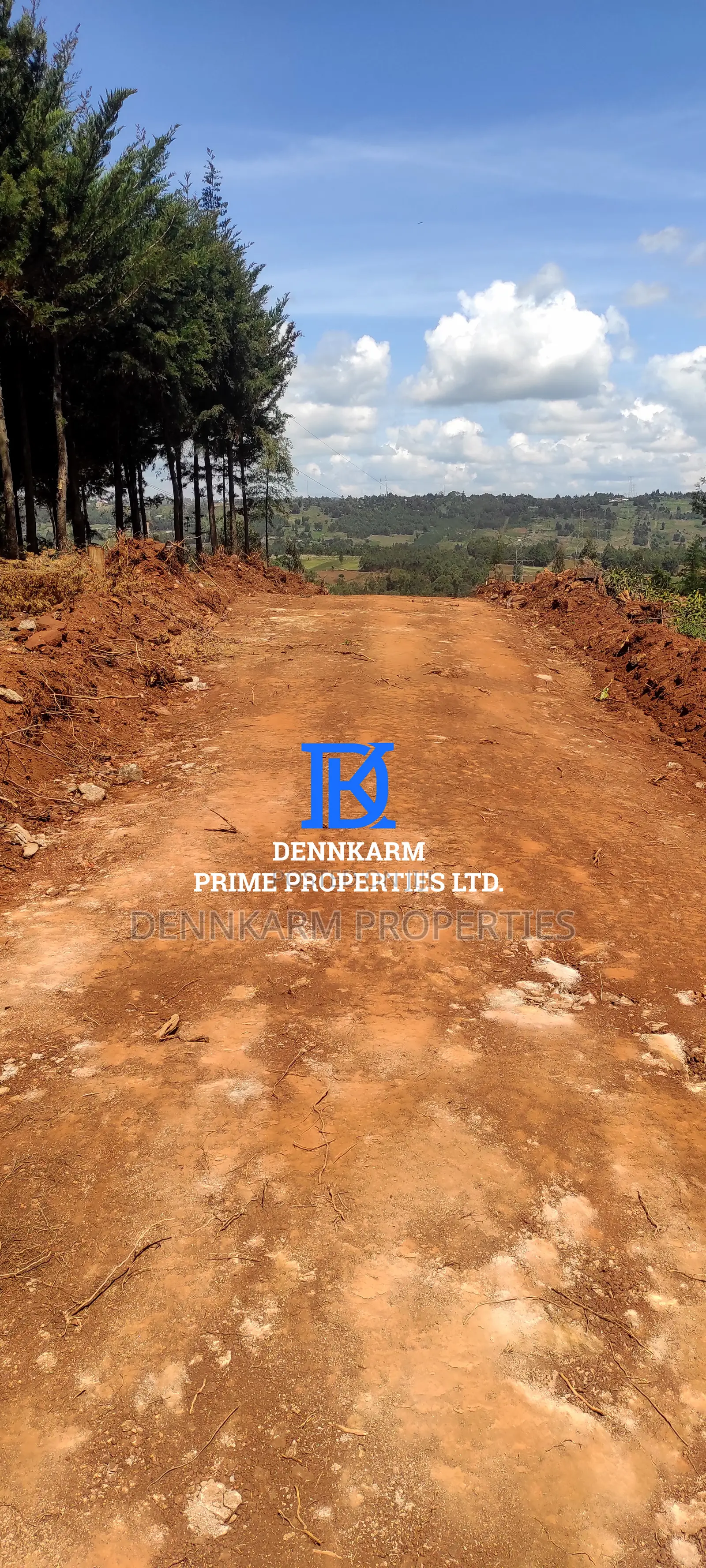 Prime Plots for Sale – Forest Groove Kikuyu, Thigio