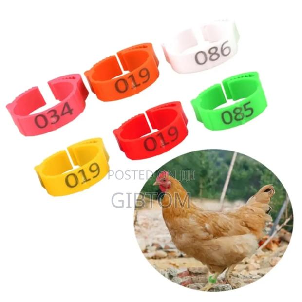 Poultry Identification Legs Bands/Ring - thumbnail 4