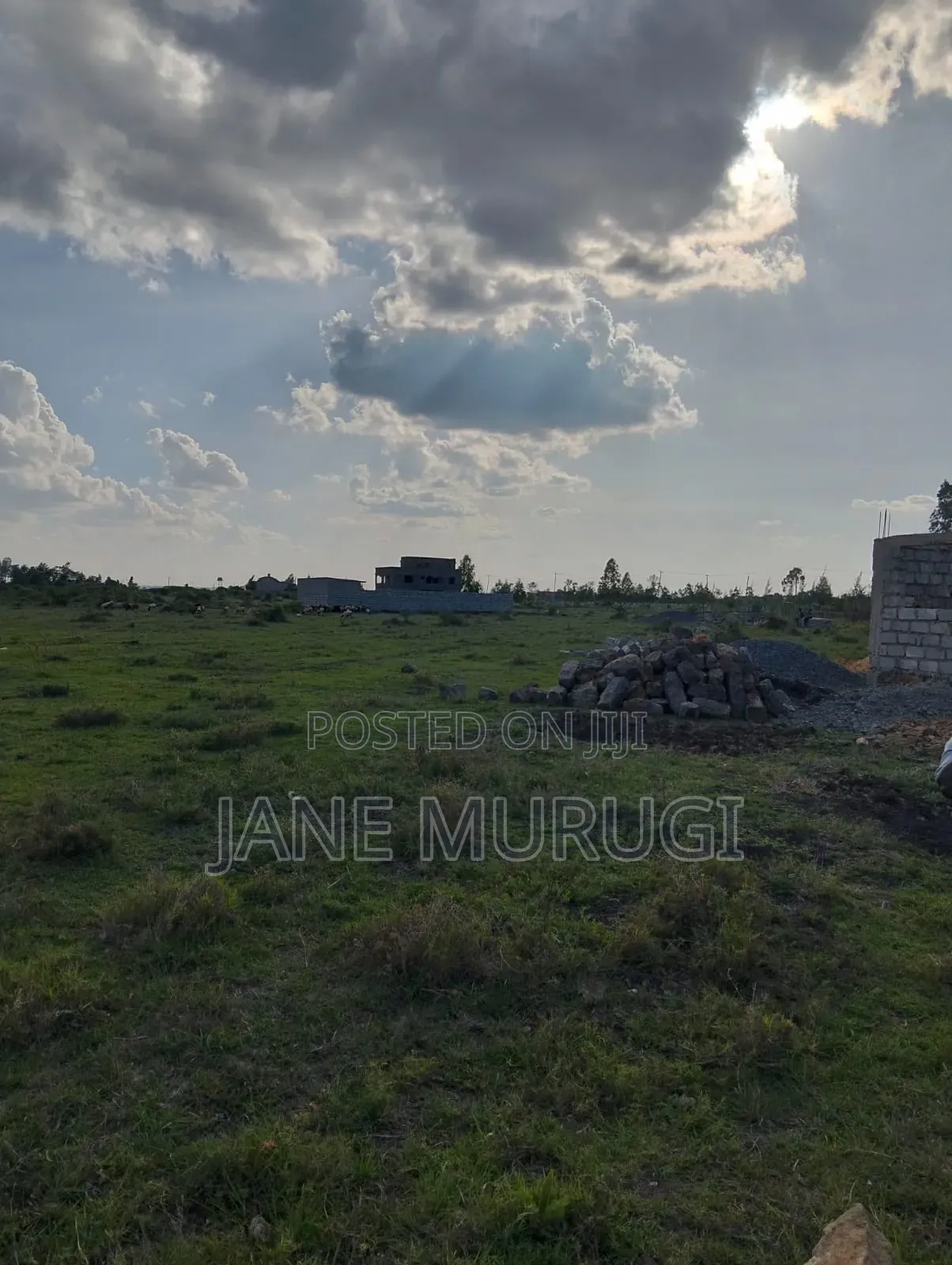 3 Plots Available for Sale Size 40*60