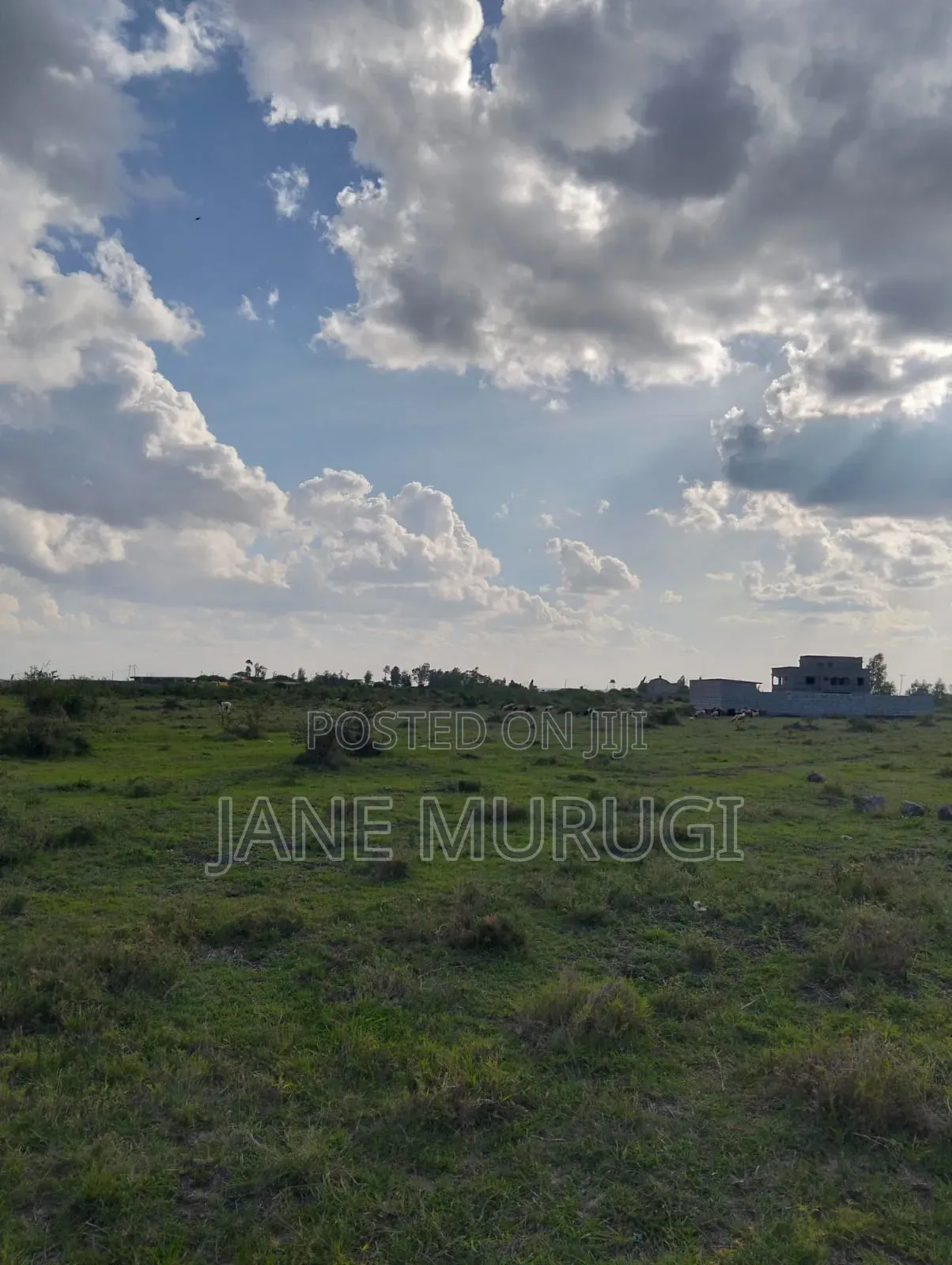 3 Plots Available for Sale Size 40*60