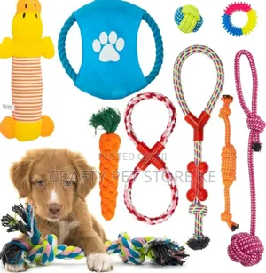 Dog Playing Toys