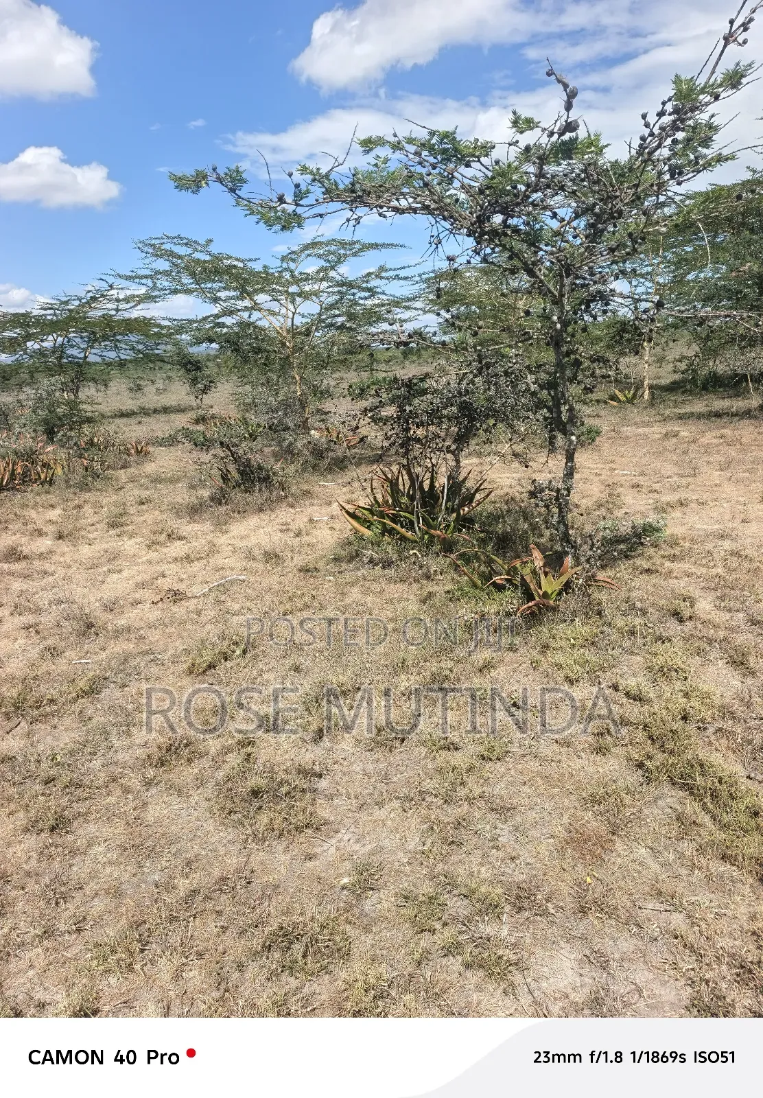 10 Acres at Koma