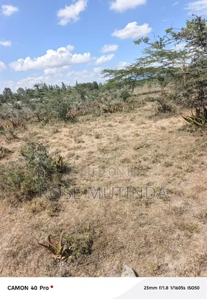 10 Acres at Koma