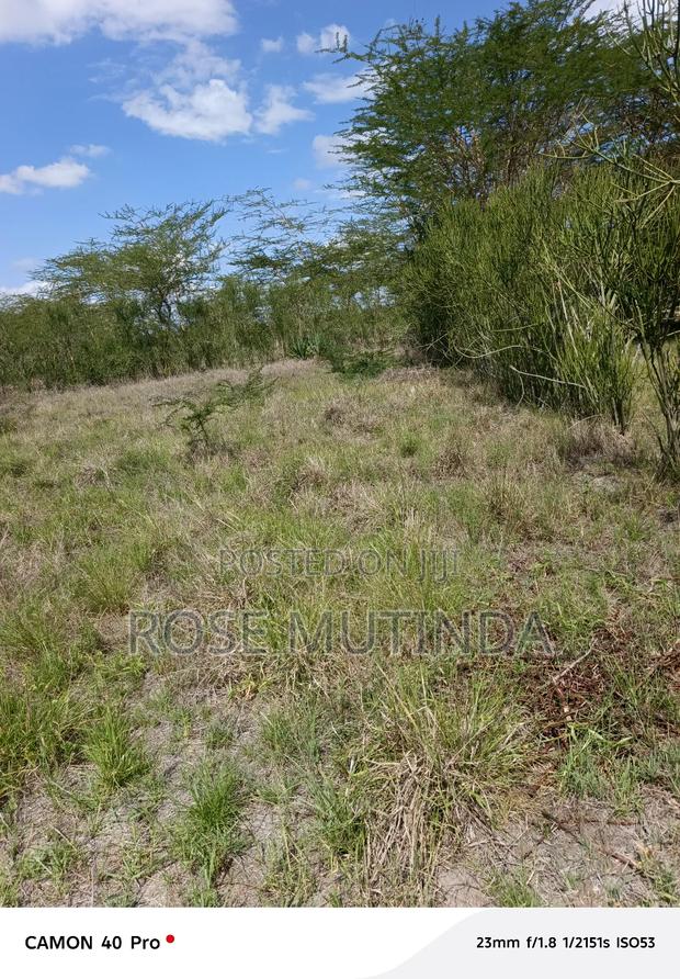 100 by 100 at Kathaana - main view