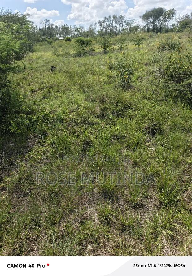 100 by 100 at Kathaana - thumbnail 2