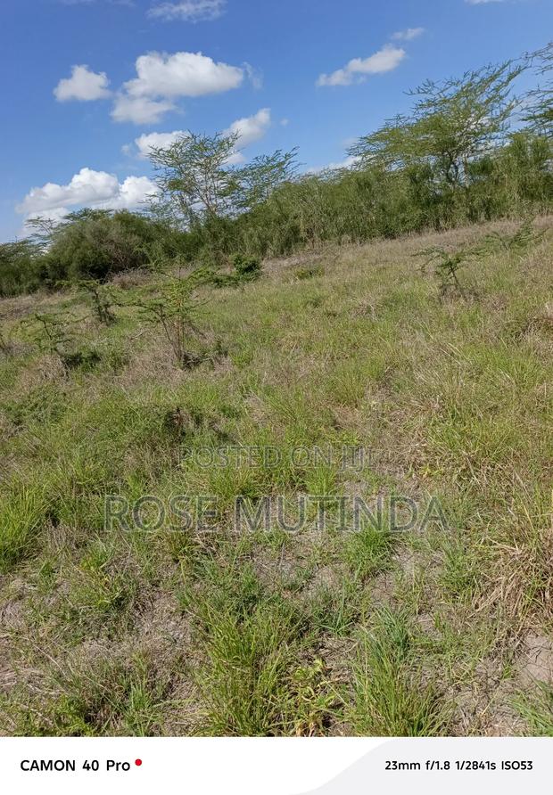 100 by 100 at Kathaana - thumbnail 3