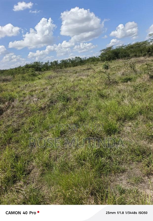 100 by 100 at Kathaana - thumbnail 4